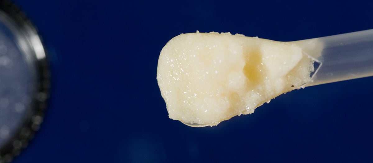 V92-Cellular-Bone-Matrix-HERO V92™ Cellular Bone Matrix