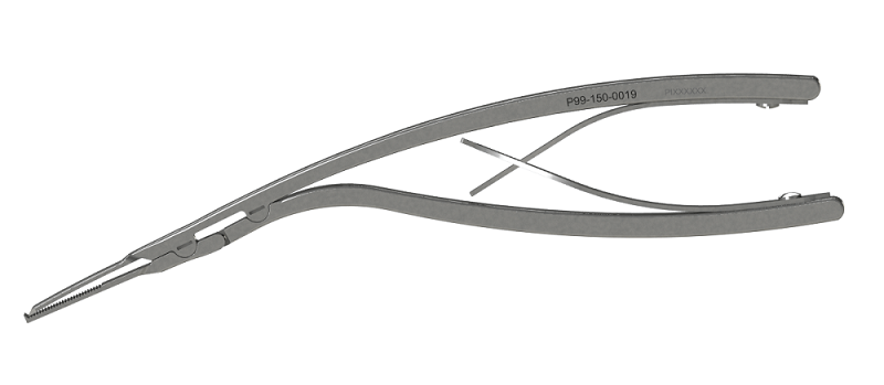 Lapidus-Nipper-8 Lapidus Nipper