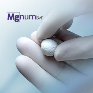 MgNum™ Bone Void Filler
