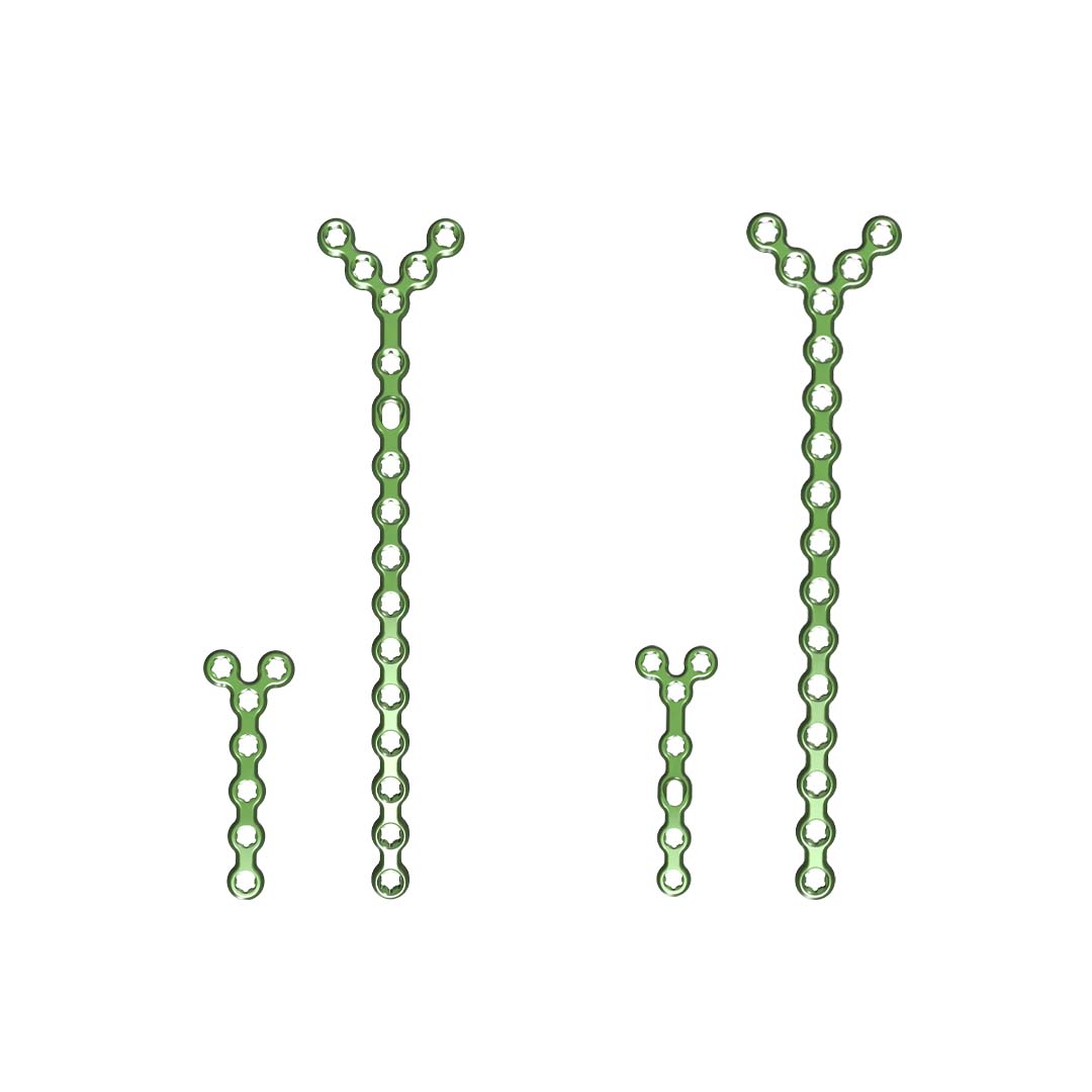 Baby Gorilla Y Plates