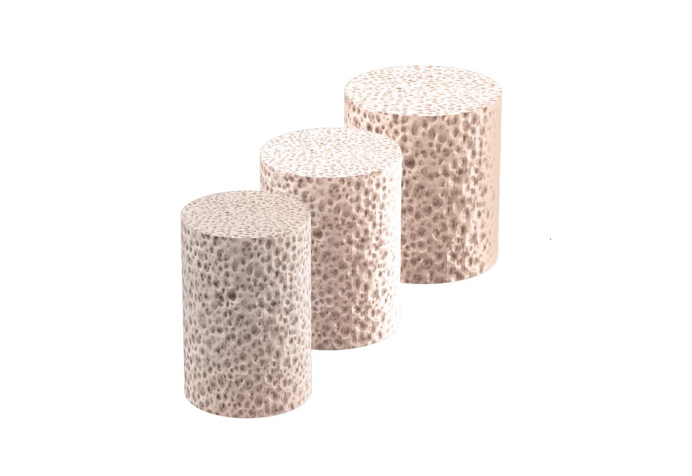 AVITRAC MTP Revision System