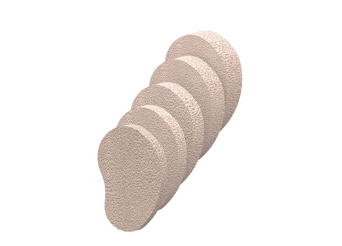 PRESERVE Lapidus Angular Length Restoring Graft