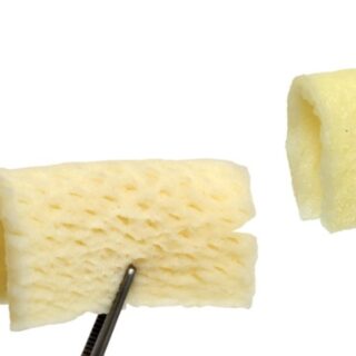Paraderm Dermal Matrices
