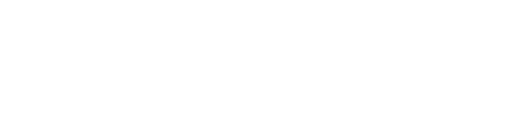 p28disior p 28 + Disior logo