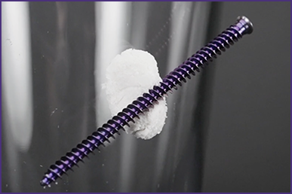 MgNum_Strength https://paragon.fru.qa/app/uploads/2022/10/MgNum_Strength-1.png