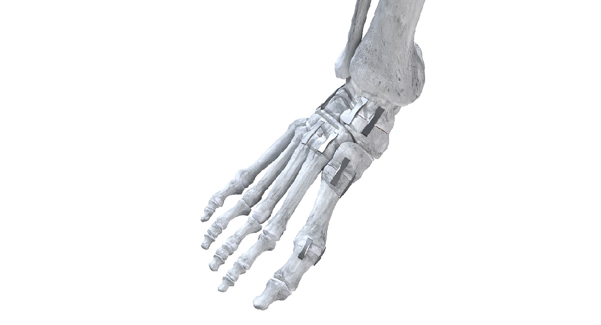 https://paragon.fru.qa/app/uploads/2023/10/GW_AllStaples2_comp.jpg