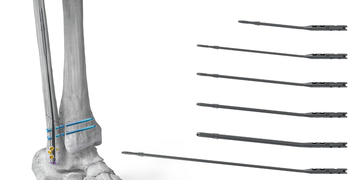https://paragon.fru.qa/app/uploads/2024/10/Website_HeroShot_FibNail.png