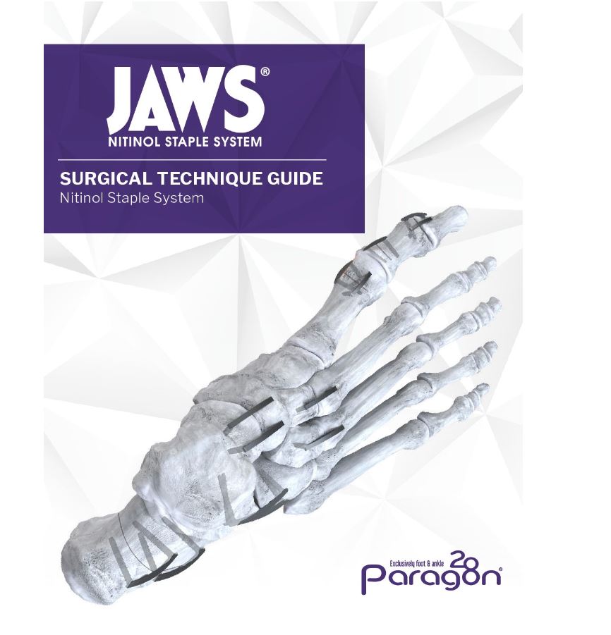 https://paragon.fru.qa/app/uploads/2024/10/jaws-stfg.jpg