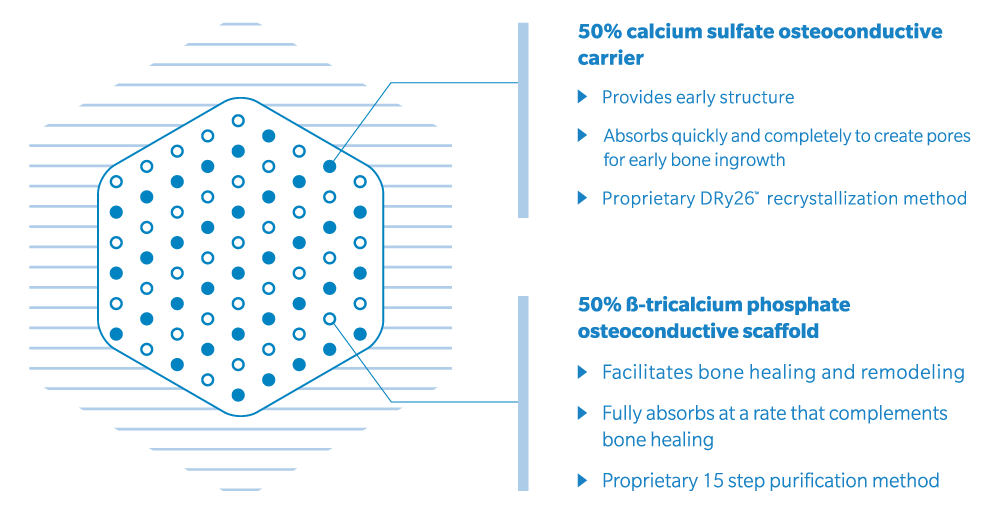 https://paragon.fru.qa/app/uploads/2025/06/hex-diagram-f2.png