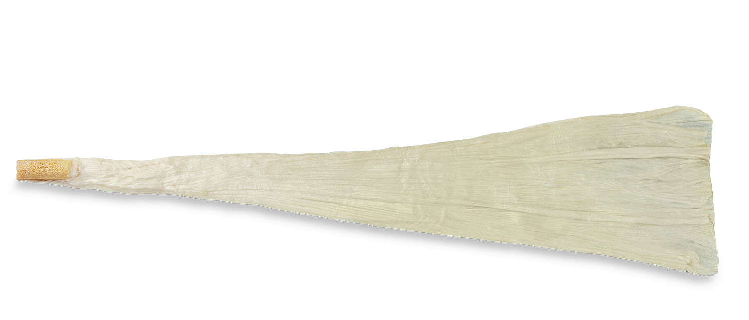 https://paragon.fru.qa/app/uploads/2025/10/Pre-Shaped-Achilles.png
