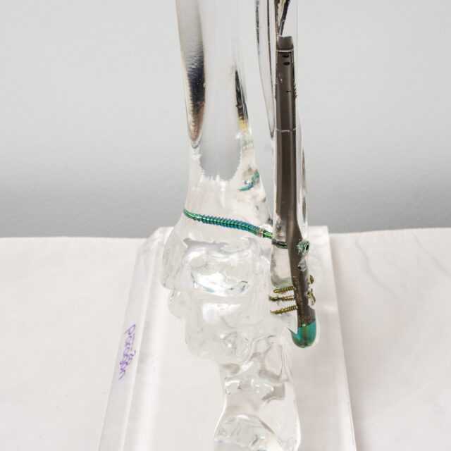 AFNRA-3