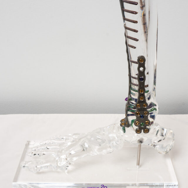 APILFS-3