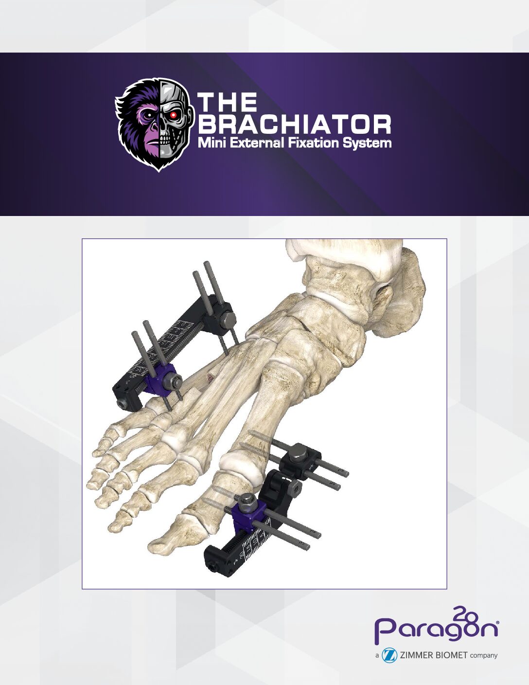 https://paragon.fru.qa/app/uploads/2026/02/C32952-Brachiator-Launch-Materials-DIGITAL-pdf.jpg