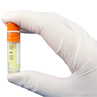 https://paragon.fru.qa/app/uploads/2026/06/biocushion-thumb-320x320.png